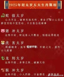 2025蛇年生肖运势揭秘：爱情财运事业大不同！