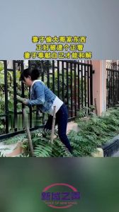 家庭偷窃危机：法律心理应对与信任重建