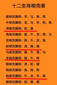 生肖揭秘：个性命运解析与人生智慧