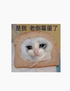 破解霉运秘诀：调整心态，迈向好运人生！