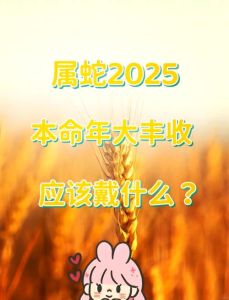 2025生肖运势：蛇狗龙大丰收，把握机遇梦成真！