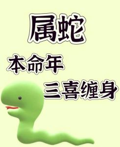 2025属蛇本命年攻略：挑战与机遇并存，攻略助你乘风破浪