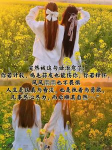 八字转运秘籍：逆境中的人生华丽转身