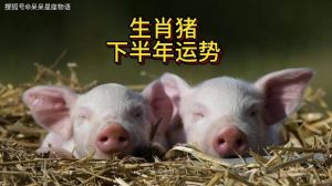 属猪女性下半年运势：事业财运旺，感情稳定挑战多