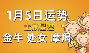 今日运势大揭秘：爱情事业双丰收！