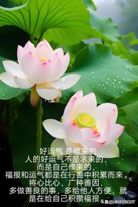 八字命理揭秘：运气与命好如何影响命运走向？