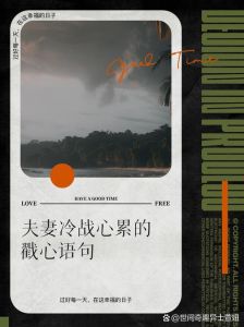 夫妻冷战破解之道：重燃爱情，共创幸福篇章