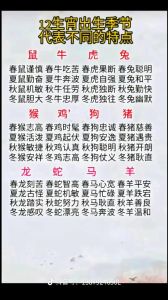 生肖虎兔龙羊19天好运来袭：事业财运双丰收指南