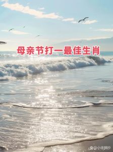 马狗牛：三生肖的孝顺勤劳，中年运势大爆发！