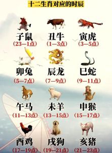 巳时龙宝宝起名：五行智慧解密选名法