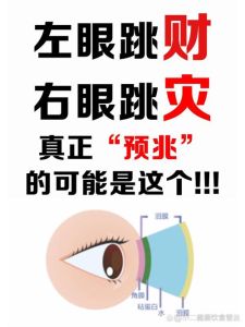 右眼跳动揭秘：科学预防应对攻略