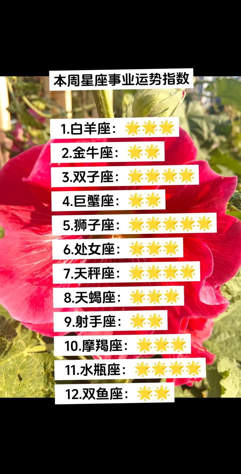 处女座本周运势：多重考验与金星助力，理财与职场指南