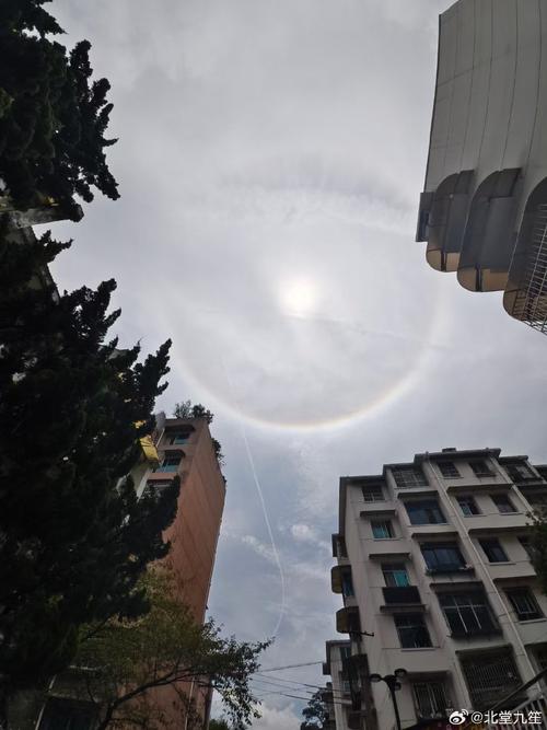 九月好运指南：鼠龙天秤双鱼运势大爆发！