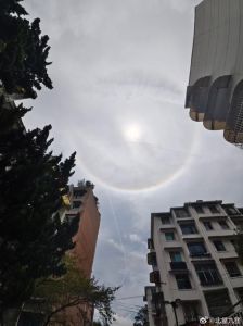 九月好运指南：鼠龙天秤双鱼运势大爆发！