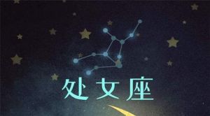 2025年星座运势：狮子处女天秤财运旺，事业辉煌展望！