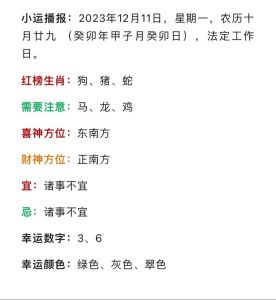 2025年生肖运势展望：鼠龙狗猪四大生肖新篇章