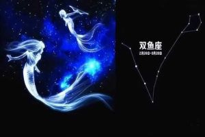 2025生肖星座：独立逐梦之旅，蜕变成长时刻