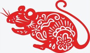 1972年属鼠人晚年命运揭秘：健康人际双重挑战