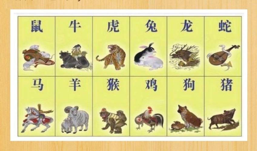 2025生肖运势：鼠牛虎兔爱情事业新飞跃