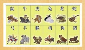 2025生肖运势：鼠牛虎兔爱情事业新飞跃