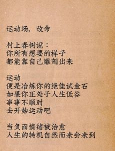 负债逆袭：低谷转运势必攻略