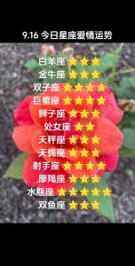 2025年白羊座金牛双子狮子双丰收：事业爱情大爆发！