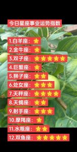 12月运势：白羊金牛双子天秤四大星座爱情事业双丰收