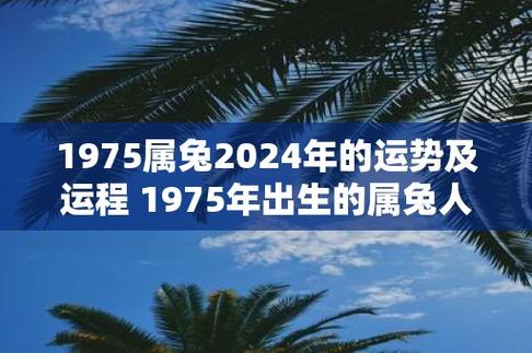 2024年12月25日运势揭秘：兔羊虎旺，2025年运势转折点！
