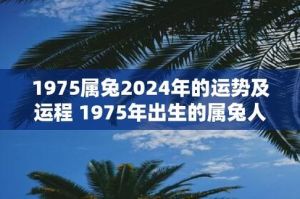 2024年12月25日运势揭秘：兔羊虎旺，2025年运势转折点！