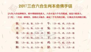 12月生肖龙羊蛇运势解析：爱情财运事业指南