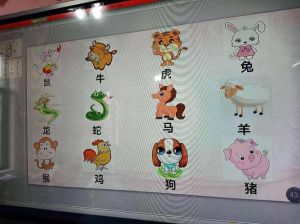 12月24日生肖运势：龙狗牛大吉，财运事业双丰收！