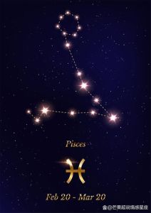 12月星座运势大爆发：白羊金牛双子狮子喜丰收！