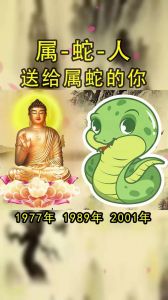 生肖鼠蛇狮子天秤好运来袭：财运亨通指南