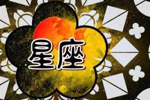 2025年星座运势：转折点来临，事业爱情双丰收