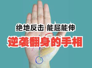 普通人逆袭攻略：全方位实现人生跨越