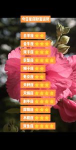2025年星座财富运势：四大星座财富高峰来袭！