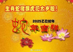 12月8日生肖运势：龙猪猴大翻身，把握机遇迎幸福！