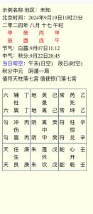 揭秘自闭症：与感统障碍的区别及独特世界