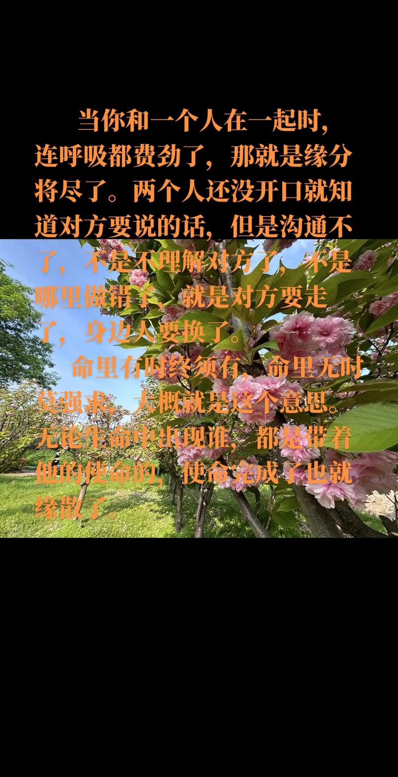 揭秘缘分断续迹象：学会珍惜与放手