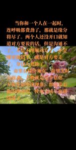 揭秘缘分断续迹象：学会珍惜与放手