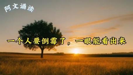 自闭症揭秘：17大表现及家庭训练策略全解析