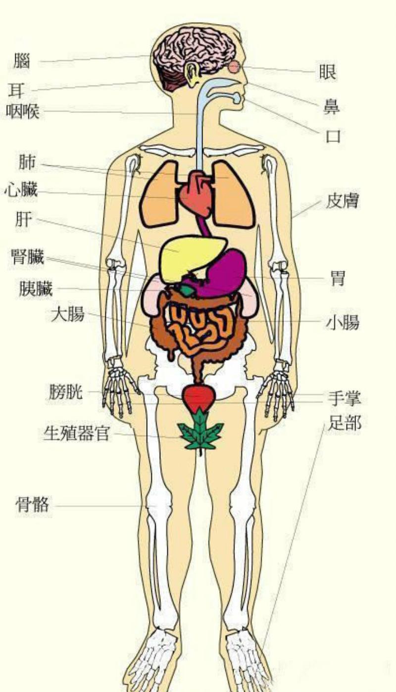 揭秘男性15性格+12风格：探索多样男性内心世界