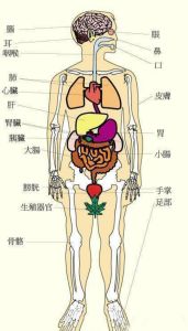 揭秘男性15性格+12风格：探索多样男性内心世界