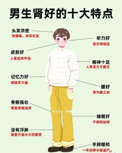 揭秘男性魅力：性格心理生理特征探秘