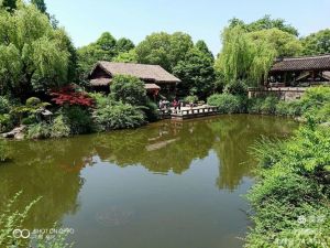 生肖男情路难放：属鸡蛇牛的刻骨爱情