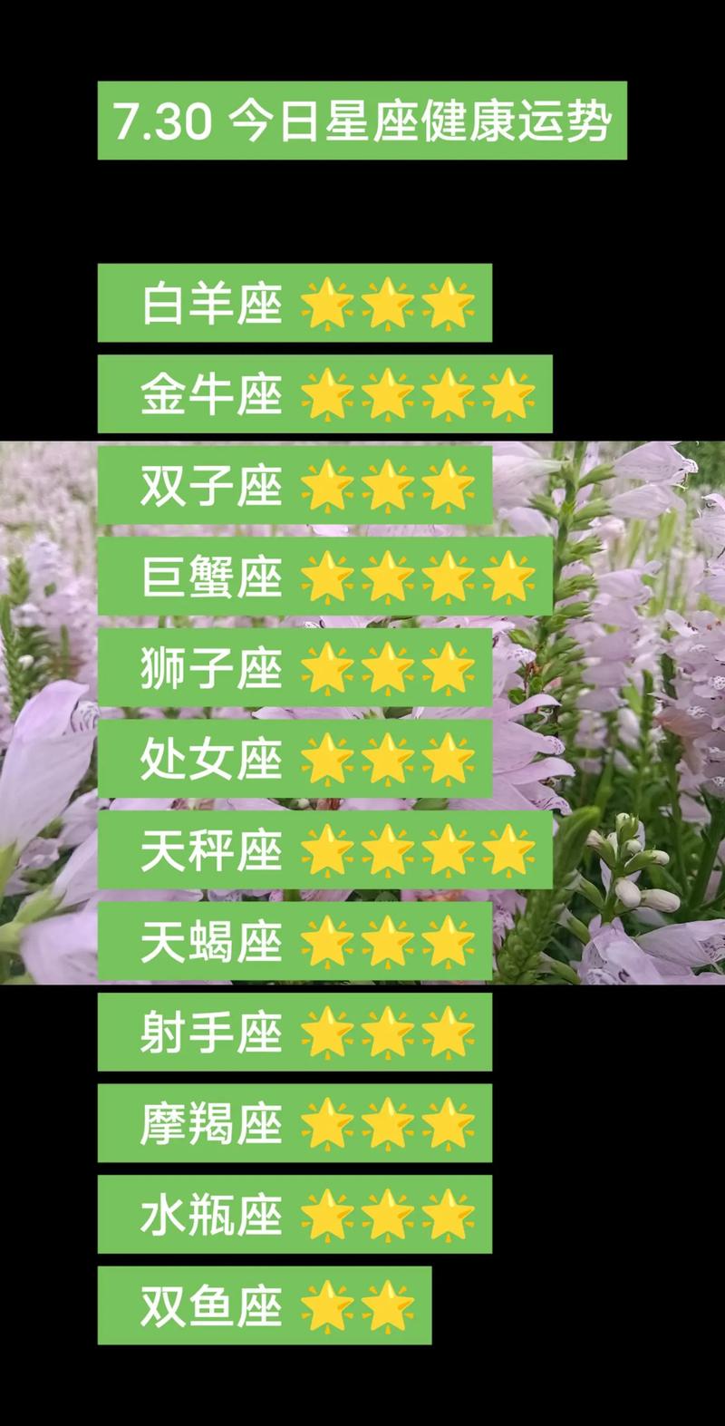 2025年运势大解析：白羊龙猴羊生肖及星座好运来袭！
