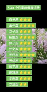 2025年运势大解析：白羊龙猴羊生肖及星座好运来袭！