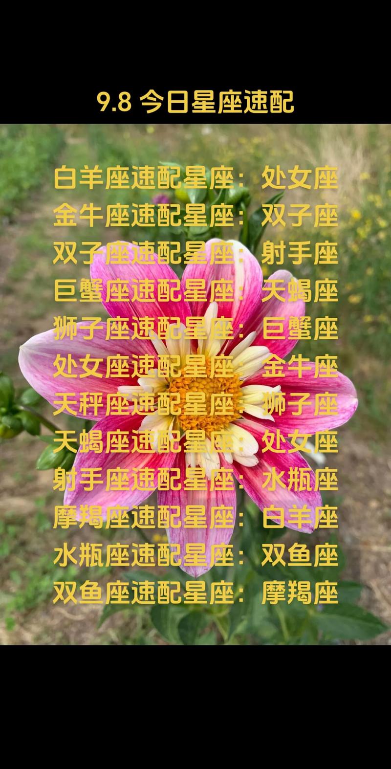 揭秘脾气火爆的星座：白羊狮子天蝎金牛双子性格解析