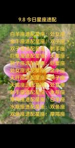 揭秘脾气火爆的星座：白羊狮子天蝎金牛双子性格解析