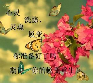 三大星座卓越之道：细节成就高级人生